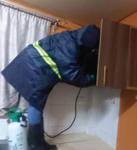 Ekom-fumigation